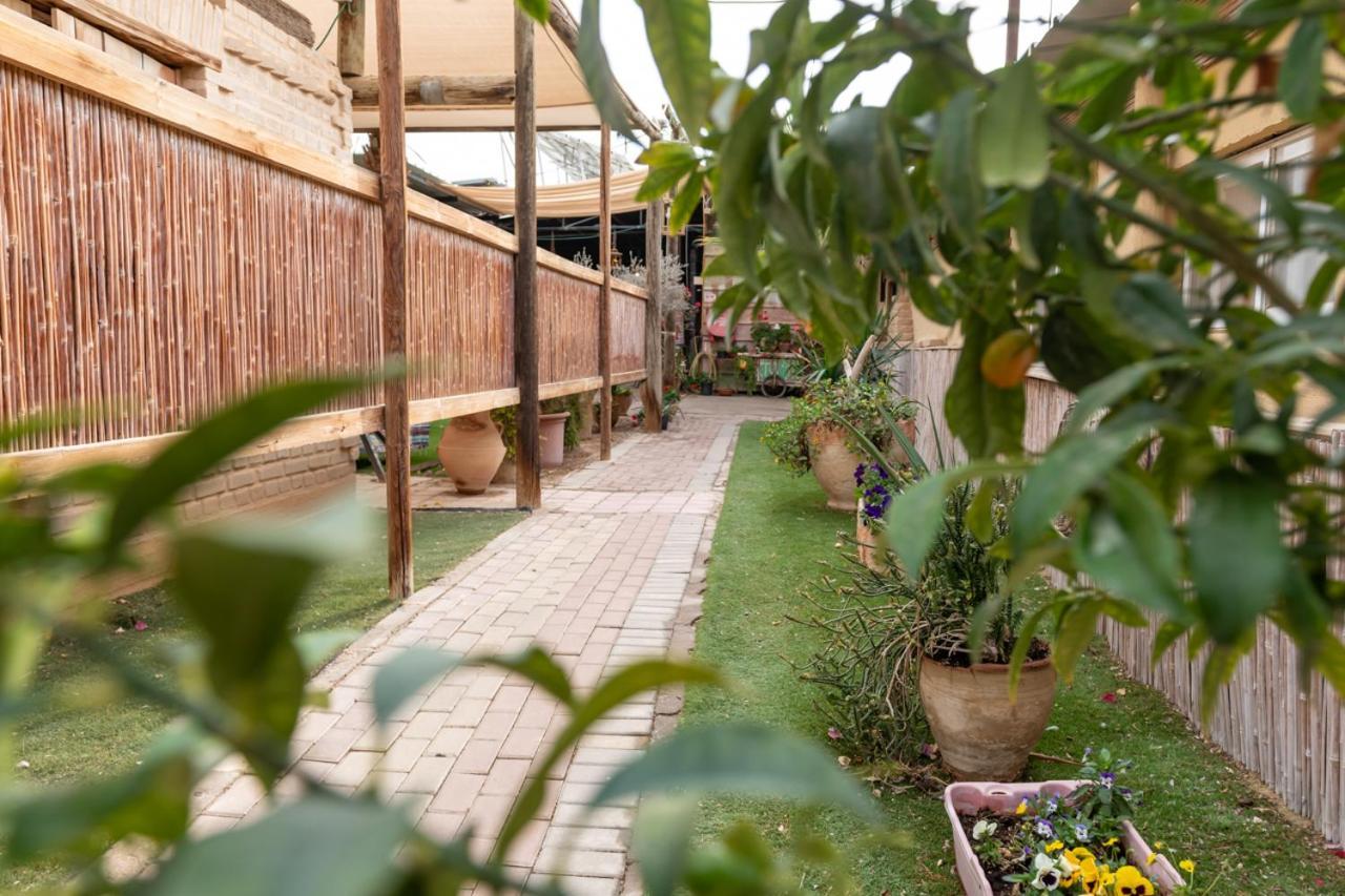 Desert Routes Inn Shvilim ba Midbar Hazeva Bagian luar foto
